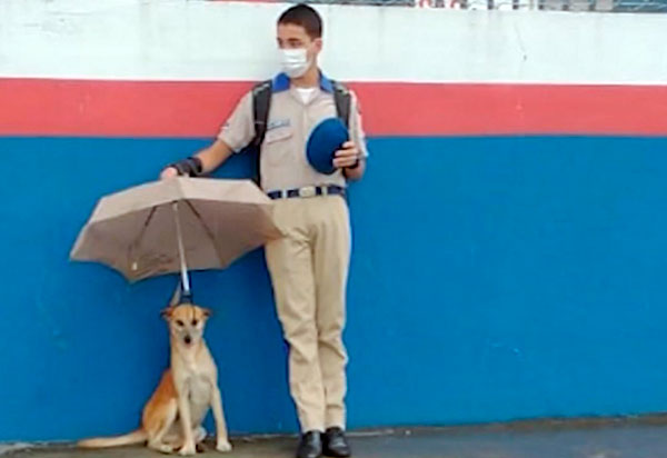 Aluno do Colégio da Polícia Militar protege cão da chuva e imagem viraliza