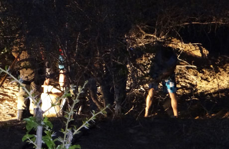 Brumado: Cachorro morto mobiliza Polícias Civil, Militar e Técnica