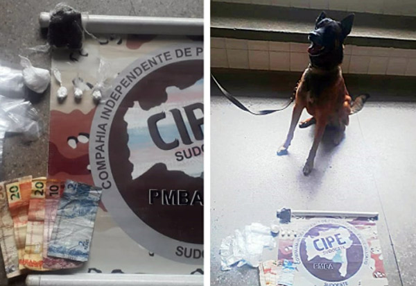 Brumado: com uso de Cão Farejador Caesg apreende drogas no Bairro São Félix