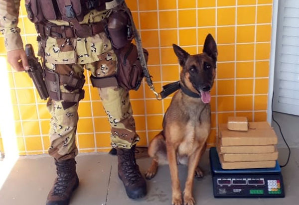 Caesg e PRF apreendem carro com drogas em Conquista; veículo saiu de São Paulo 