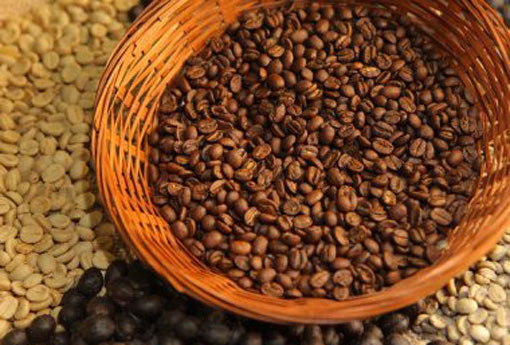 Chapada Diamantina é destaque na fase classificatória do maior concurso de qualidade de cafés do Brasil