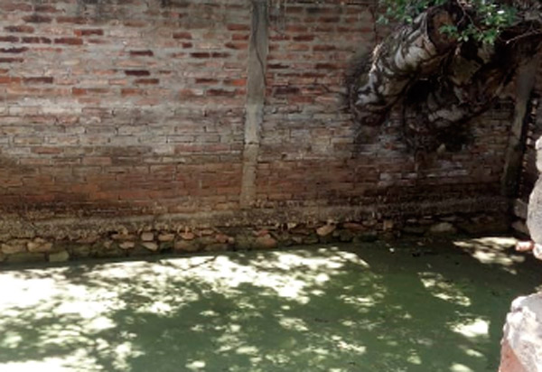 Dom Basílio: moradora da comunidade Boa Vista denuncia desvio de água de reservatório para plantação particular 