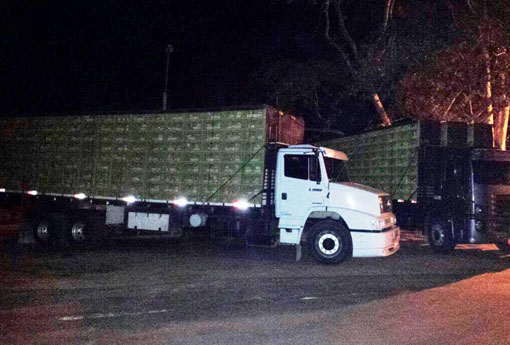 ADAB apreende 6 mil aves de descarte em Vitória da Conquista