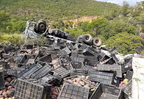 Caminhão carregado com manga tombou na Serra das Almas, em Livramento