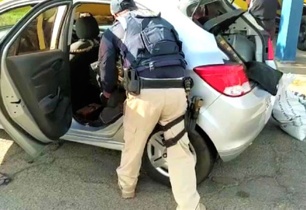 PRF resgata 650 canários amontoados dentro de carro na BA