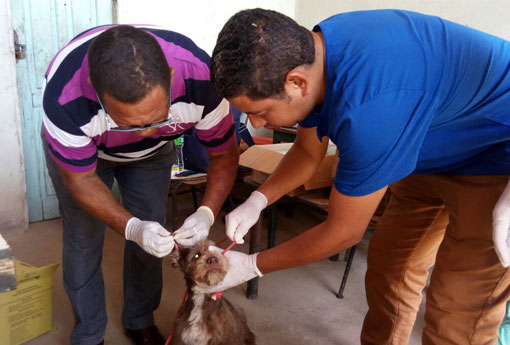 Brumado: SESAB promoveu capacitação dos agentes de endemias do município no programa de combate a doença de Chagas e Leishmaniose