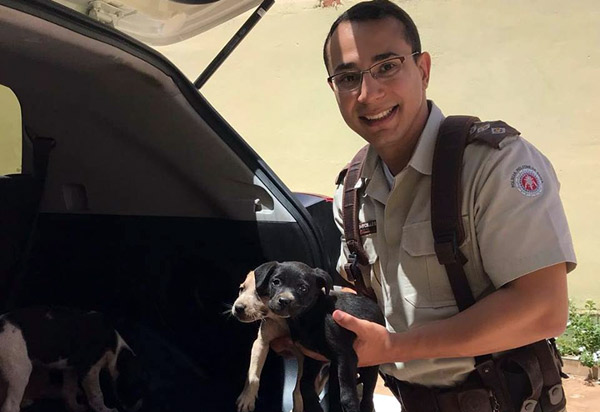 Filhotes de cachorros são resgatados embaixo da ponte do Rio Taquari em Livramento