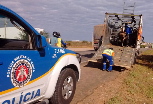 Polícia Rodoviária Estadual realizou a captura de animais soltos nas rodovias da região Sudoeste