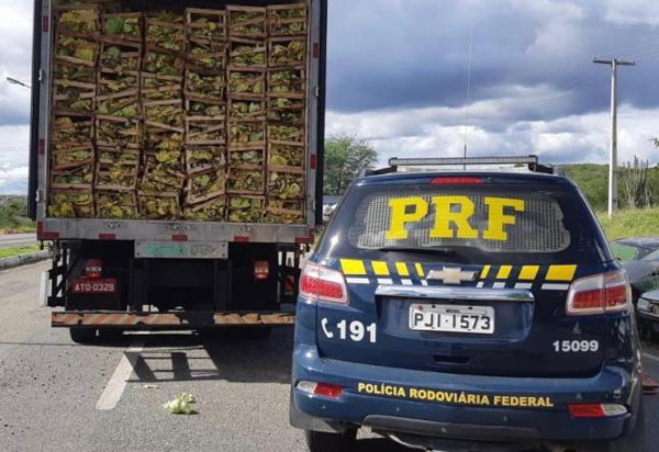 Sudoeste: Mais um grande carregamento de cigarros contrabandeados avaliado em mais de 1 milhão de reais é apreendido pela PRF