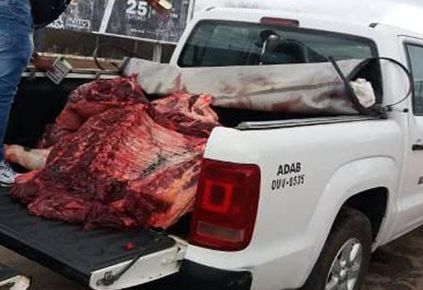Lagoa Real: Adab apreende cerca de 300 quilos de carne bovina em Pancadão