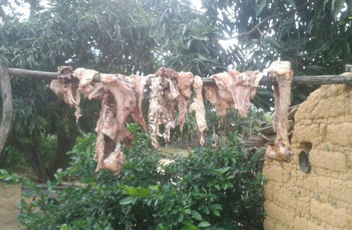 Barra da Estiva: Abatedouro clandestino é desarticulado