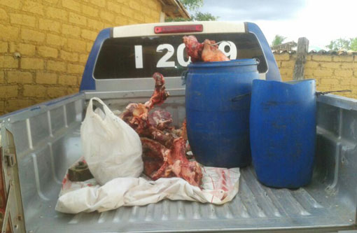 Barra da Estiva: Abatedouro clandestino é desarticulado