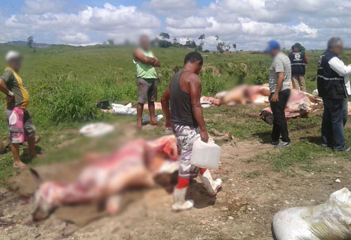 Polícia Civil e Adab apreendem 2,5 toneladas de carnes em Itapetinga