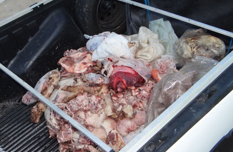 Ituaçu: Grande quantidade de carne clandestina é apreendia