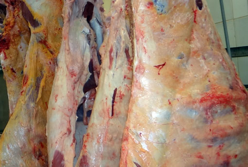 JBS paralisa por três dias produção de carne bovina no Brasil