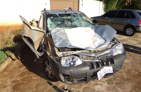 Brumado: Animal solto na pista causa acidente na BA 148