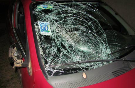 Brumado: Kezinha sofre acidente com animal na BA-148