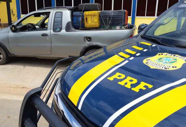 Em apenas 03 dias de fiscalização, mais 10 veículos são recuperados nas rodovias federais da Bahia