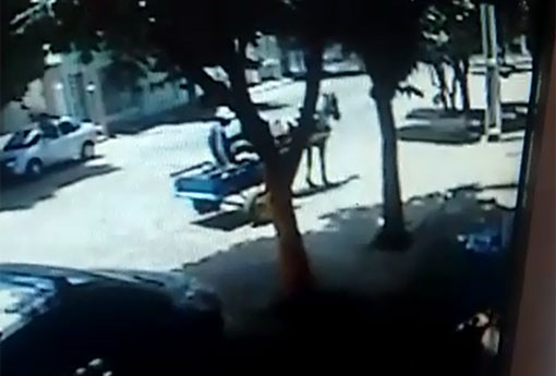 Brumado: homem chega de carroça em comércio e furta celular