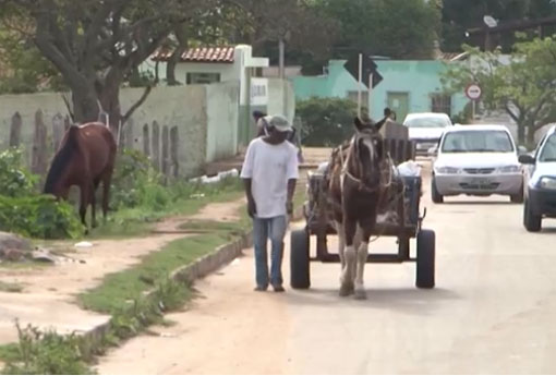 Conquista: Curso para carroceiros obterem habilitação tem início na cidade