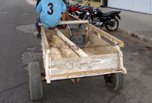 Vitória da Conquista: carroceiros deverão emplacar veículos e possuir carteira de habilitação