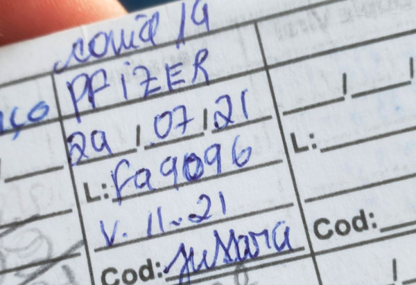 Eleições Gerais: comprovante de vacinação não será exigido