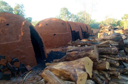 Ibama e Inema devem fiscalizar atividade de produção de carvão em Guanambi/BA e região