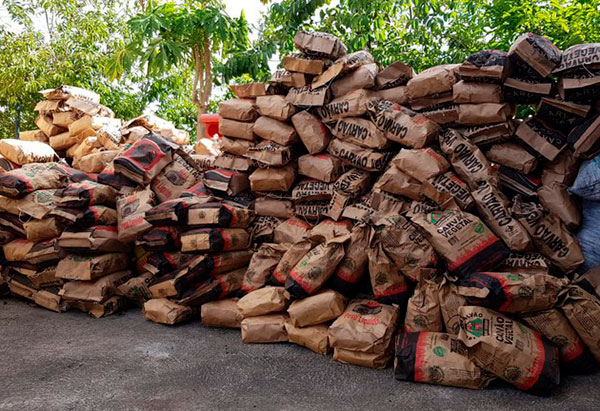 Na Chapada Diamantina, PRF BA e MPBA apreendem mais de 800 sacos de carvão vegetal comercializado irregularmente