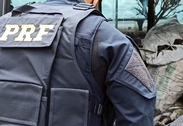 Na Chapada Diamantina, PRF apreende carga de carvão vegetal transportada ilegalmente