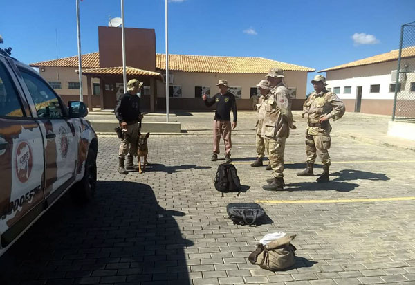 CAESG promoveu em Vitória da Conquista I Nivelamento com Ênfase em Condução de Cães