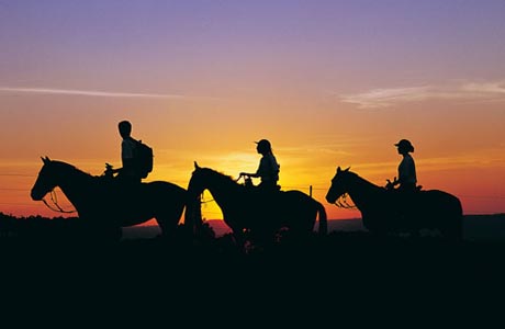 Brumado: Dia 15 de dezembro tem a 1ª Cavalgada da Solidariedade