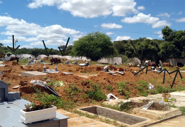 Brumado: Internauta denuncia grande quantidade de cavalos dentro do cemitério Santa Inês