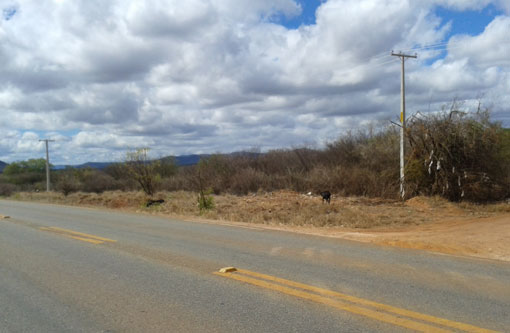 Brumado: Obras do Centro de Detenção Provisória serão iniciadas