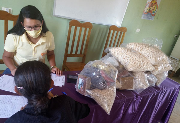 Cesol Sertão Produtivo distribuirá três mil cestas básicas