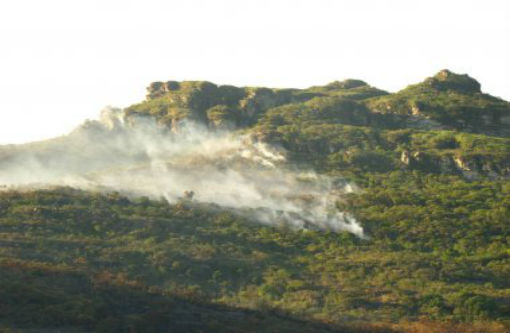 Chapada Diamantina: Região já perdeu 23 mil hectares com queimadas 