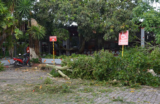 Conquista: Mau tempo alaga ruas, arranca placas e derruba árvores