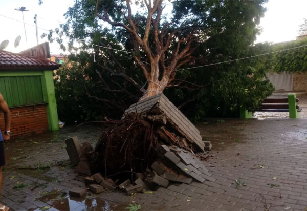 Chuva e ventos fortes causam estragos em Livramento 