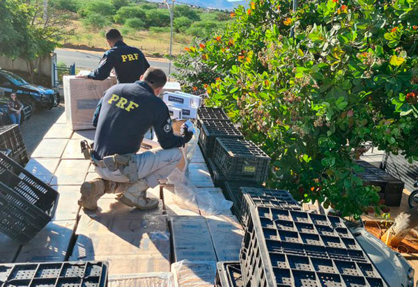 PRF apreende 126.000 maços de cigarros contrabandeados escondidos em carroceria de caminhão