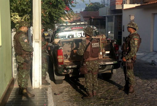 CIPPA-Lençóis aprende pássaros silvestres que eram mantidos em cativeiros em Brumado