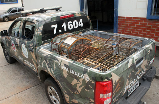 Polícia Ambiental apreende aves silvestres em Brumado