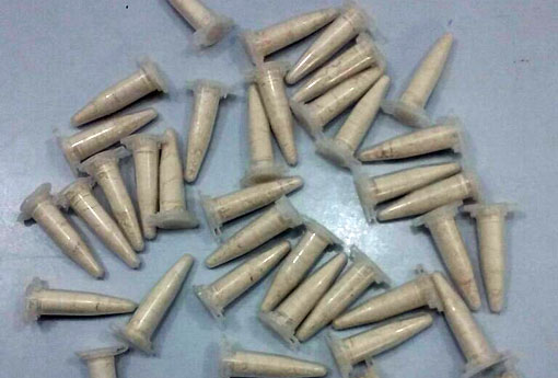 Operação Caixa de Pandora: Polícia Civil elucida homicídio e identifica integrantes do tráfico de drogas em Dom Basílio