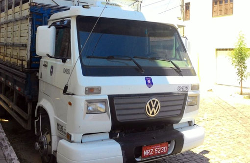 Prefeitura de Brumado começa recolher animais soltos nas ruas