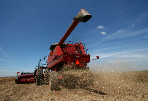 Indústria de alimentos na Bahia cresce 16%