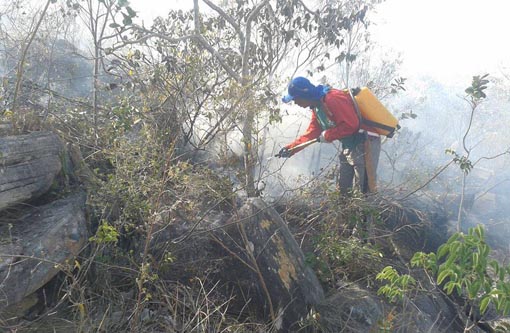 Incêndio que atingia Serra das Almas e Estrada Real em Livramento e Rio de Contas foi controlado