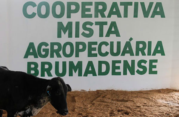  Brumado: COOPMAB convoca cooperados para Assembleia Geral Ordinária