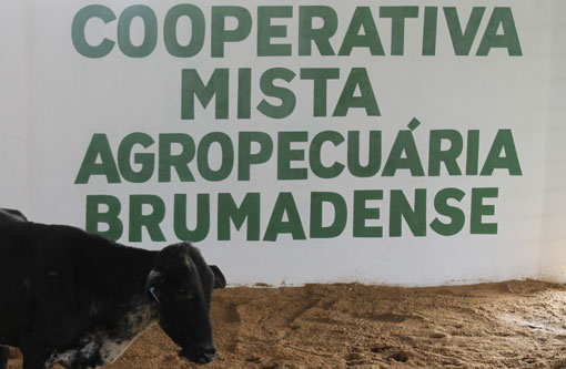 COOPMAB convoca associados para assembleia geral
