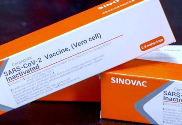 Covid-19: Vacina chinesa é segura e começa a ser produzida este mês, diz diretor do Butantan
