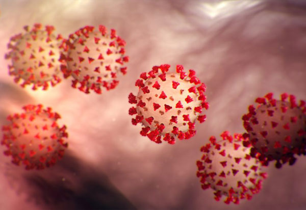 Festas tradicionais, futebol e eleições não podem ocorrer mesmo com controle da Covid-19, diz virologista