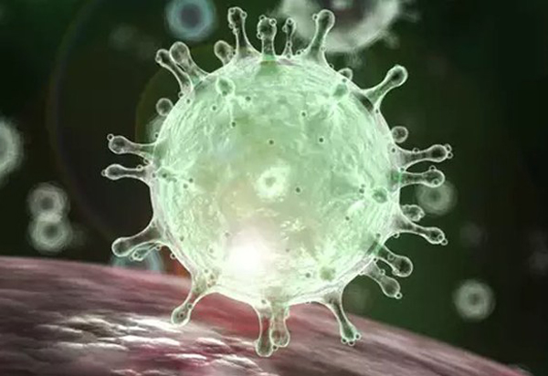 Bahia: Aumenta para 216 os casos notificados com suspeita clínica de infecção pelo novo coronavírus