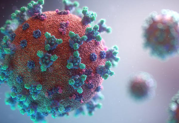 Covid-19: Mais de 254 mil pessoas já foram diagnosticadas com coronavírus no Brasil